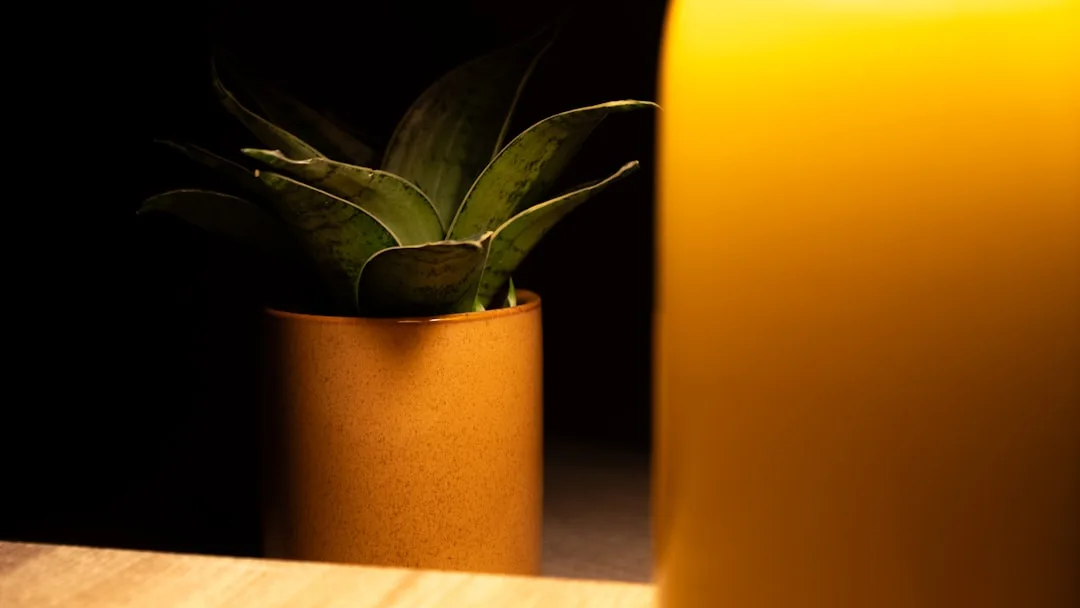 tense medical consultation