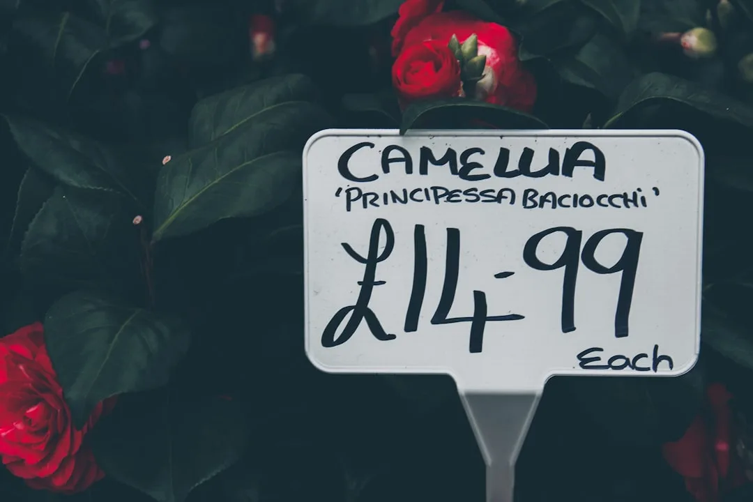 The Astonishing Price Tag