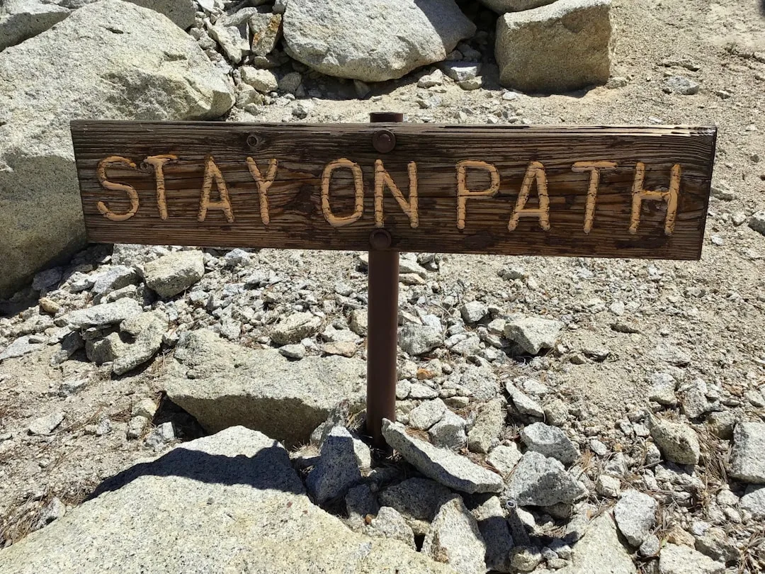Strategizing Your Path Forward